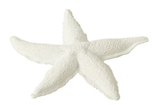 Starfish White Small 20x20xh3cm 40482