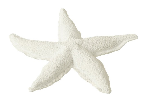 Starfish White L 30x30xh3cm 40483