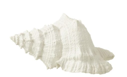 Seashell White 25x17xh13cm 40484