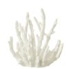 Coral White Small 15x9xh16cm 40486