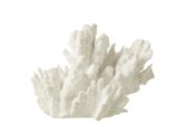 Coral White 29x20xh21cm 40488