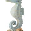 Seahorse Blue L 27x15xh52cm 40468