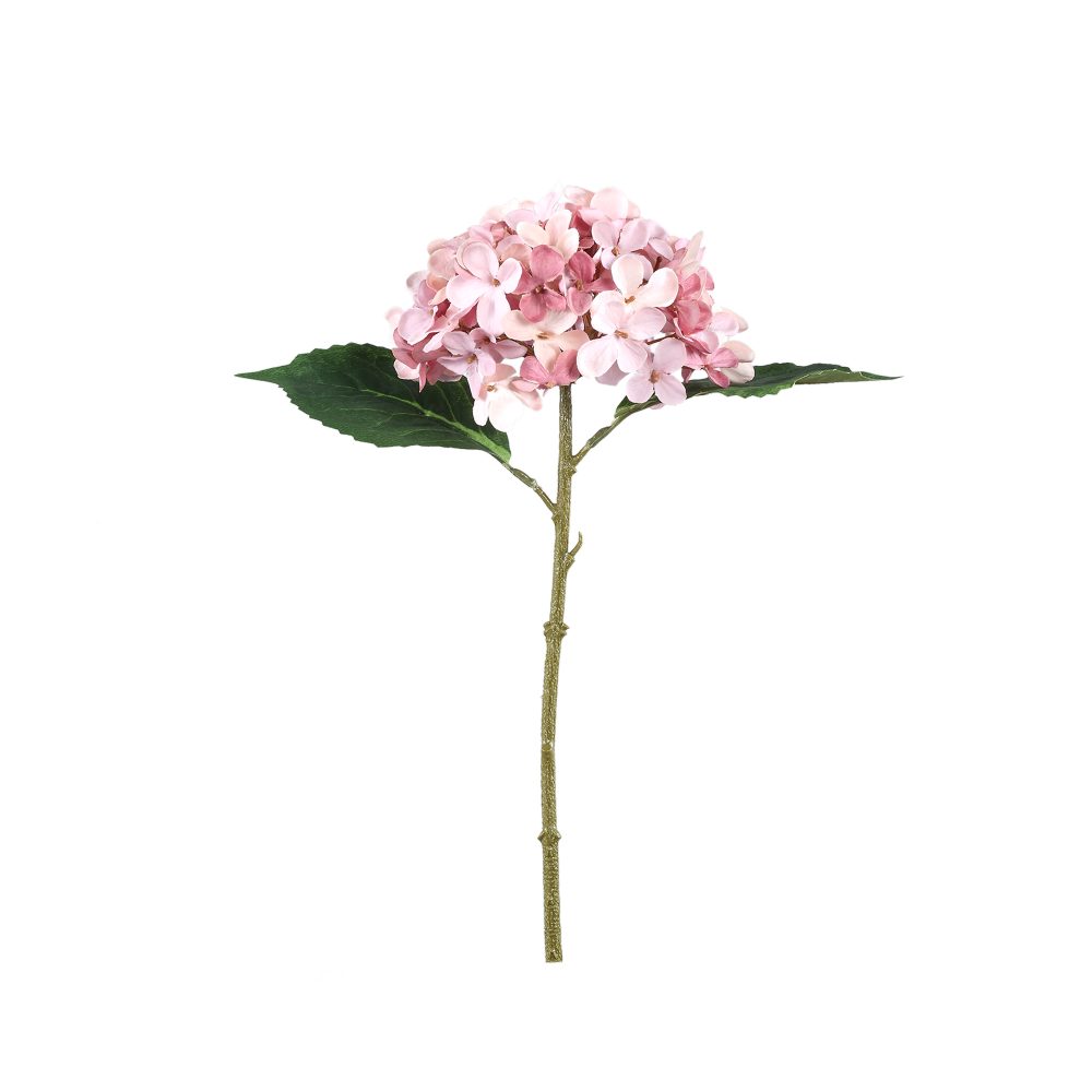Hydrangea Flower Pink  717932