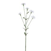 Garden Flower White 716904