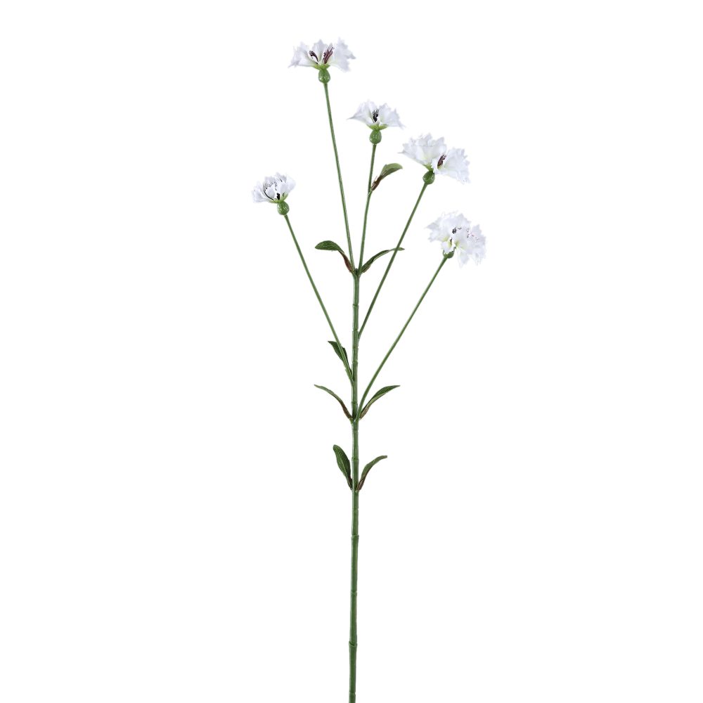 Garden Flower White 716904