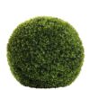 Boxwood Green D40cm 184393