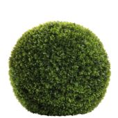 Boxwood Green D40cm 184393