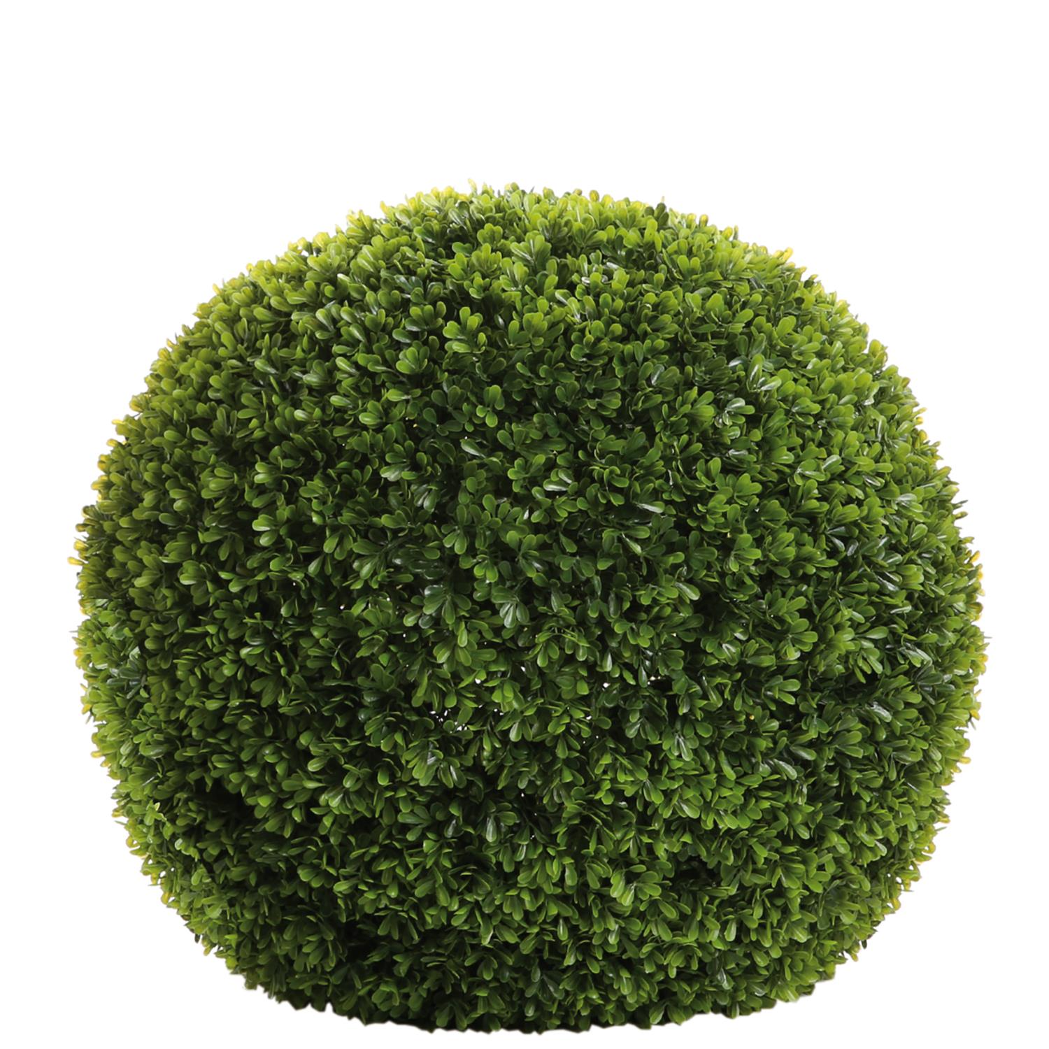 Boxwood Green D40cm 184393
