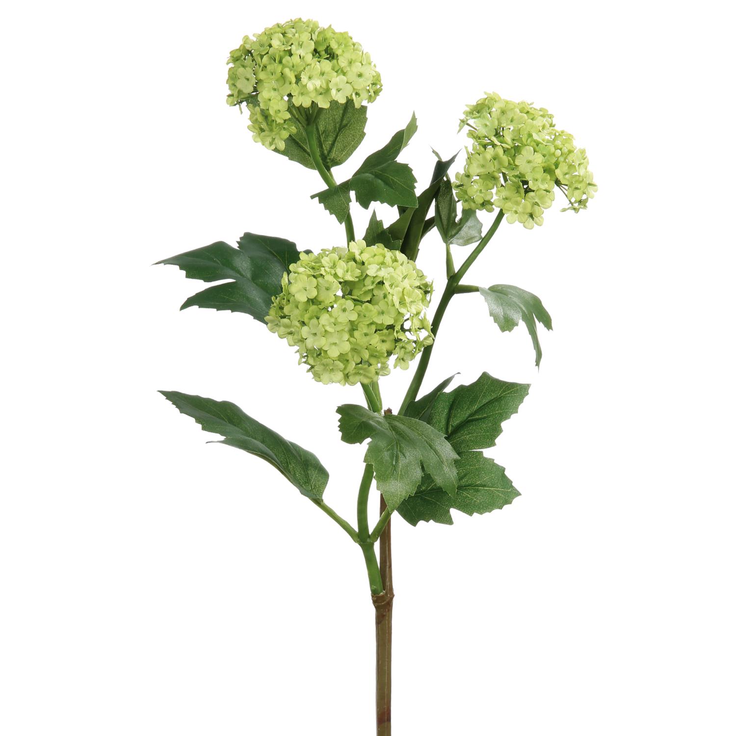 Snowball Green 84cm 181658