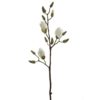 Magnolia White h82cm 183186
