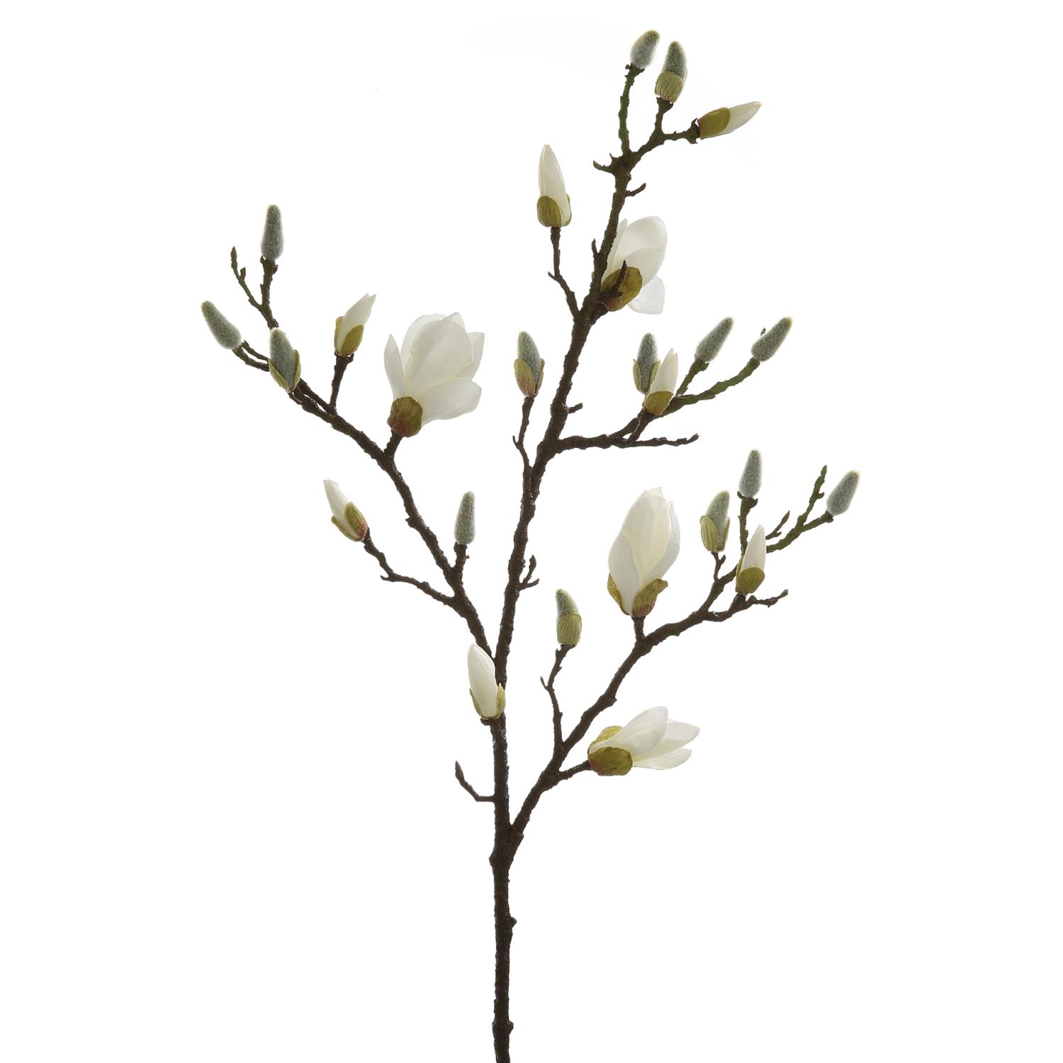 Magnolia Twig White h101cm 183188