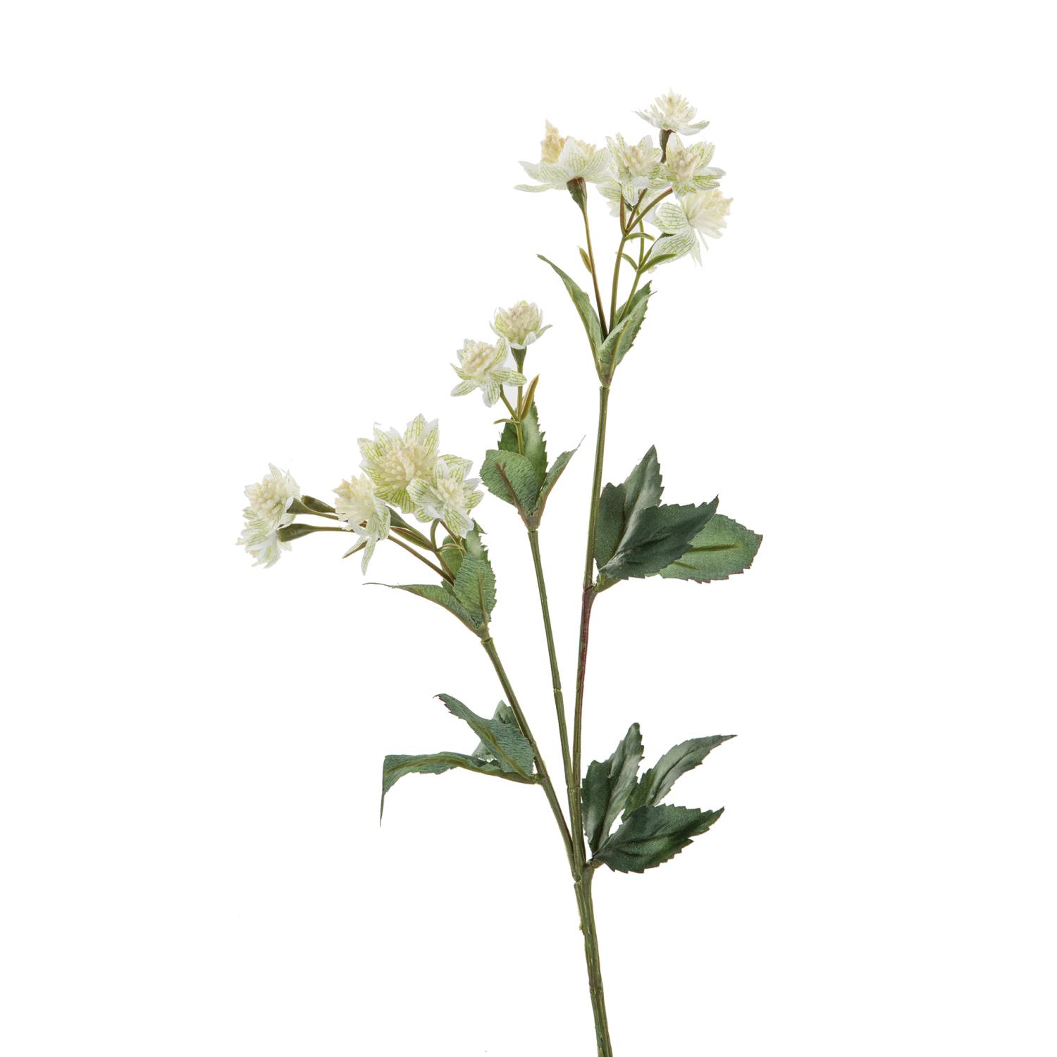 Flower Green/White 181512
