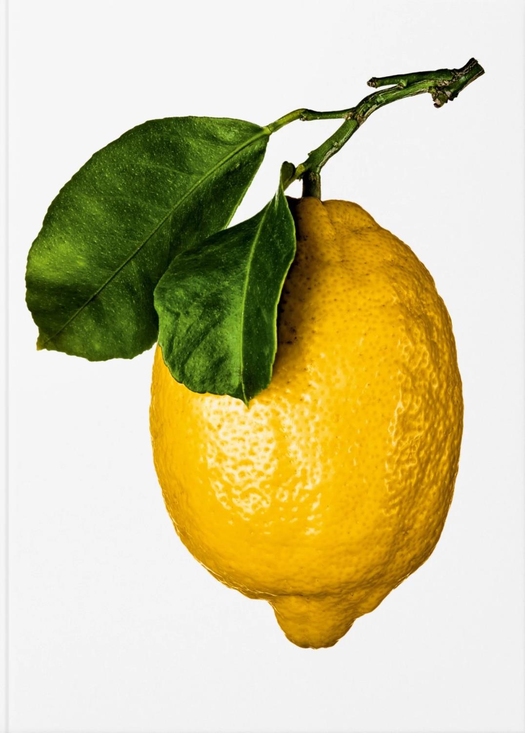 The Gourmand`s Lemon A Collection Of Stories