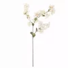 Myrt Hvit 20xh100cm 82061482