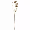 Poppy Brun ø16xh104cm 82061477