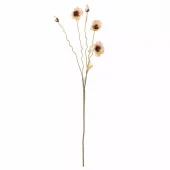 Poppy Natur ø16xh104cm 82061478