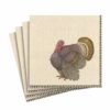 Napkin Thomas T Byrd 12870l