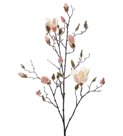 Magnolia 6174-20