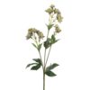 Flower Astrantia Purple h44cm 181513