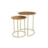 Ayla Nest Table Set of 2 4620