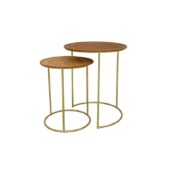 Ayla Nest Table Set of 2 4620