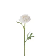Ranuncel hvit 35 cm 4765-10