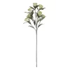 Leaf Ranucler White/Green 88cm 611689
