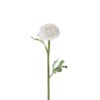 Ranuncel hvit 35 cm 4765-10