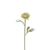 Ranuncel 35 cm 4765-91
