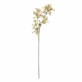 Waxflower 15xh91cm 82072037