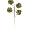 Flower Branch Green 5 Ponpons 18xh86cm 51669