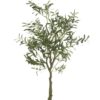 Olive Tree 80xh150cm 54364