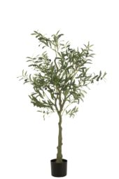 Olive Tree 80xh150cm 54364