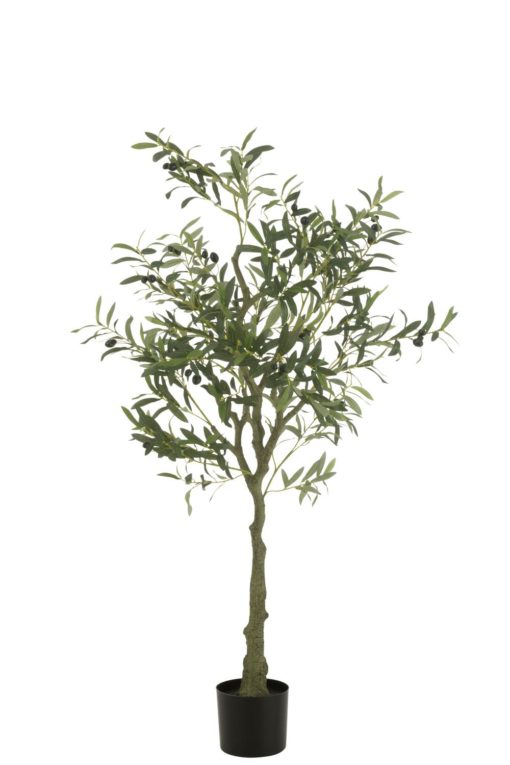 Olive Tree 80xh150cm 54364