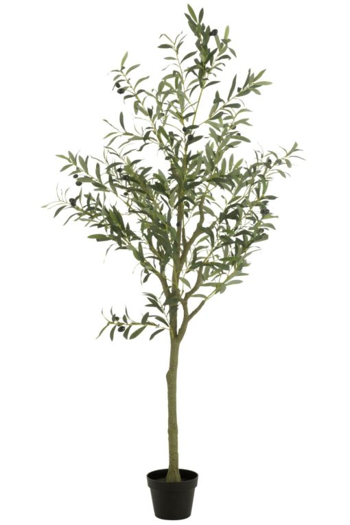 Olive Tree 80xh180cm 54365