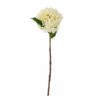 Hortensia Hvit 15xh56cm 82061515