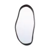 Brown Solid Wood Org Mirror 52x3Xh122cm 725874