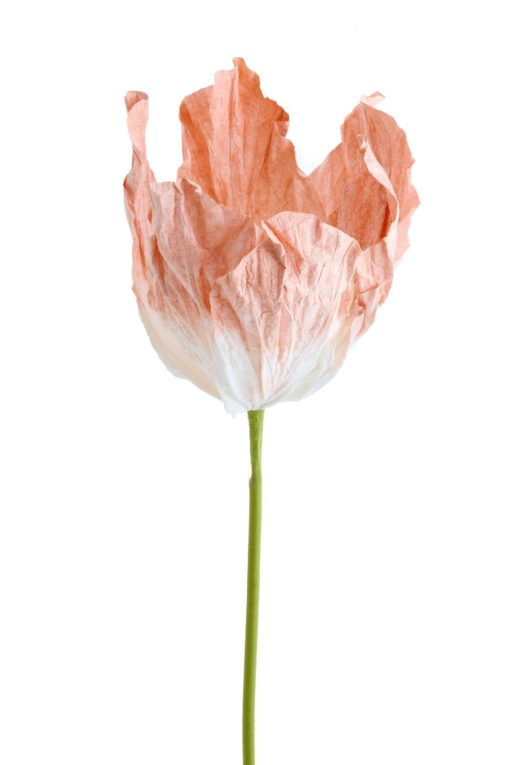 Artificial Flower 32x32xh120cm 7609290