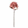 Hortensia Rosa ø20xh65cm 82061475