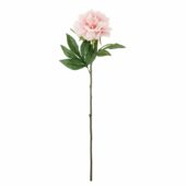 Peony Pink ø20xh66cm 82072094