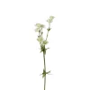 Stjerneblomst 4534-91