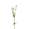 Stjerneblomst 4534-91