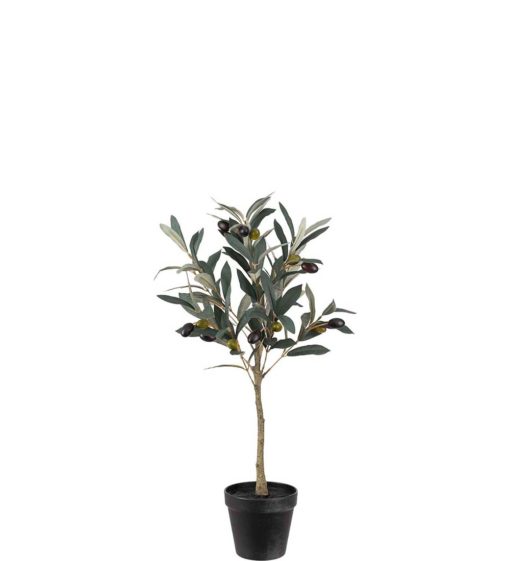Oliventre 3934-90-1