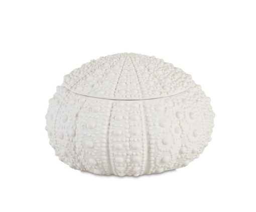 Sea Urcin Dolomite Box ø23 Ax25028
