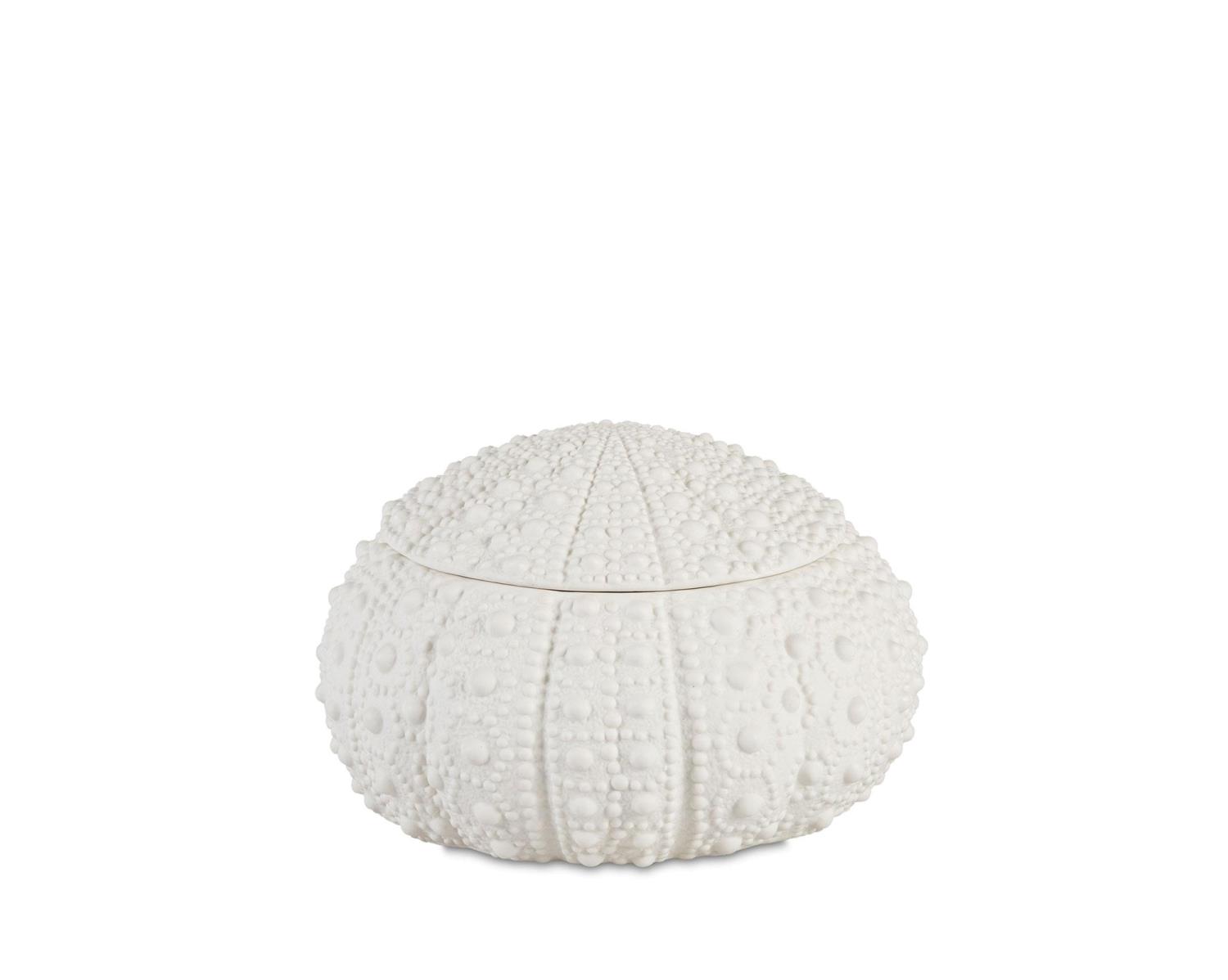 Sea Urcin Dolomite Box ø19cm Ax25027