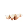 Shell 41x25xh17cm 7608290