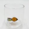 Waterglass Fish Amber 3d Did505f