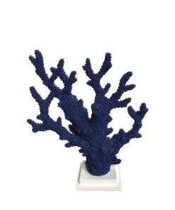 Blue Coral On Fot h34cm 325-672