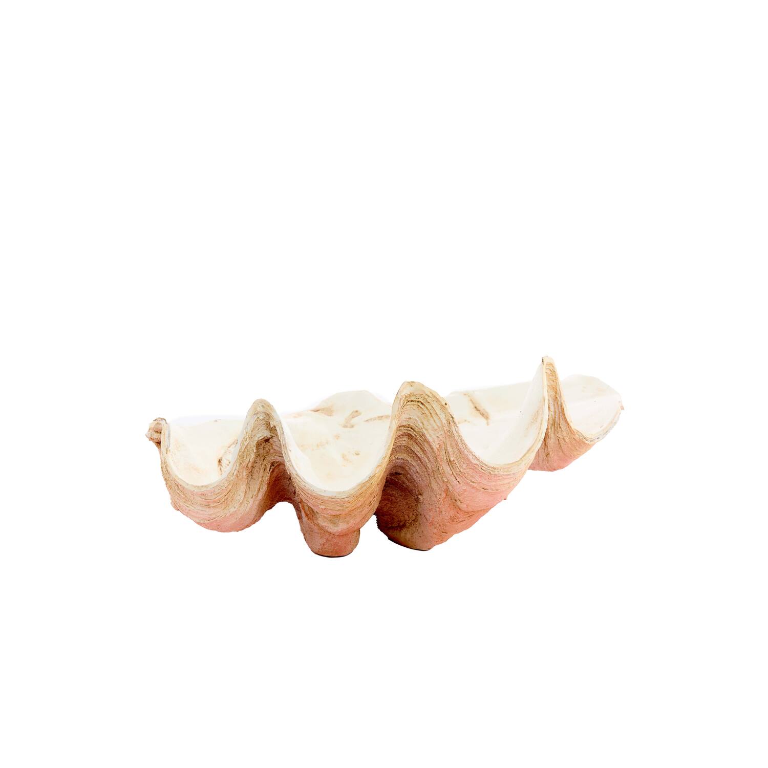 Shell 41x25xh17cm 7608290