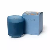 Scented Candle Citrus 453734300